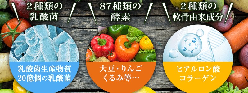 �Ђ��֐߂̋@�\���\���H�i�y�v���e�I�O���J���`���t���[���z���T�C�g